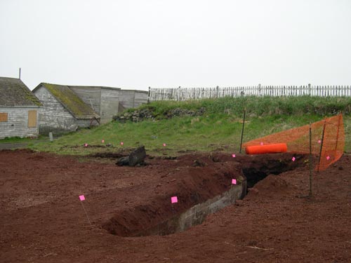 Photo of final area of excavation at the Old Carpenter Shop, a long trench marked by pink flags.